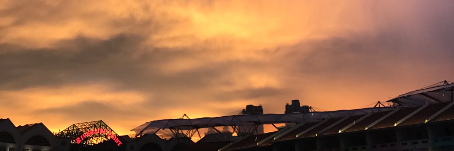 aideeaL's profile banner image