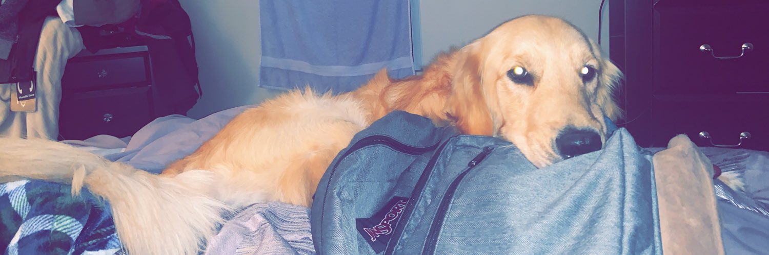 HillLaci's profile banner image
