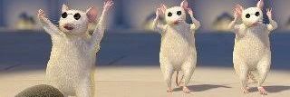 rato cego do Shrek gravando tiktok pra sobreviver banner