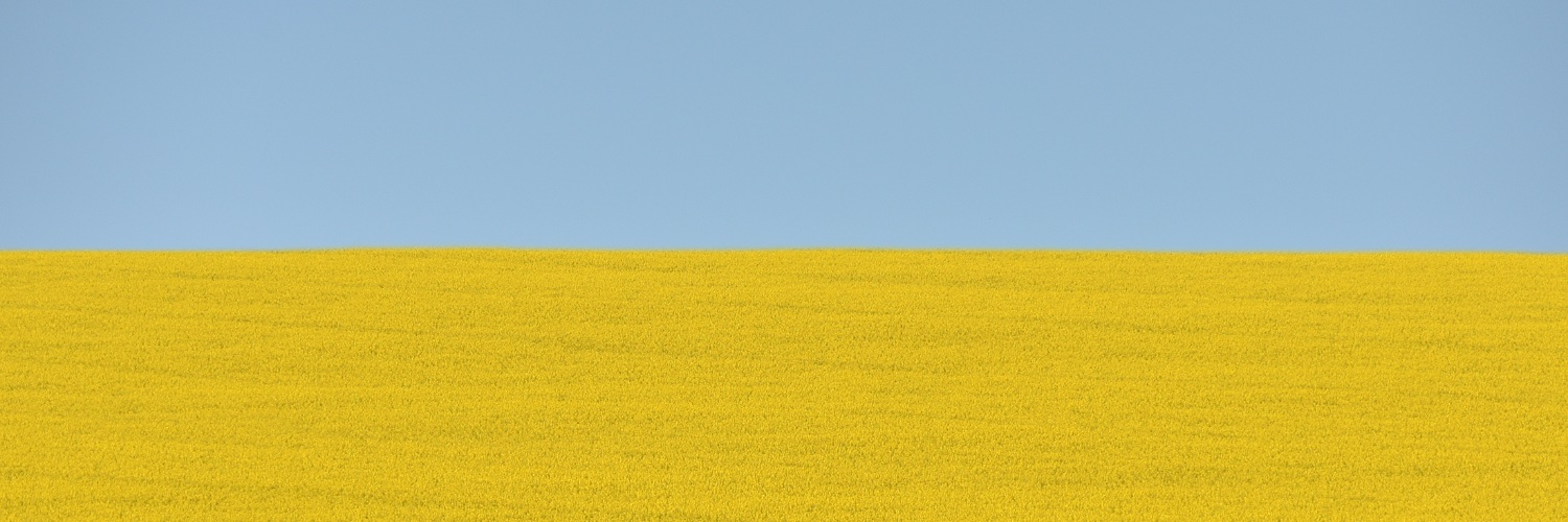 YurkoDyachyshyn's profile banner image