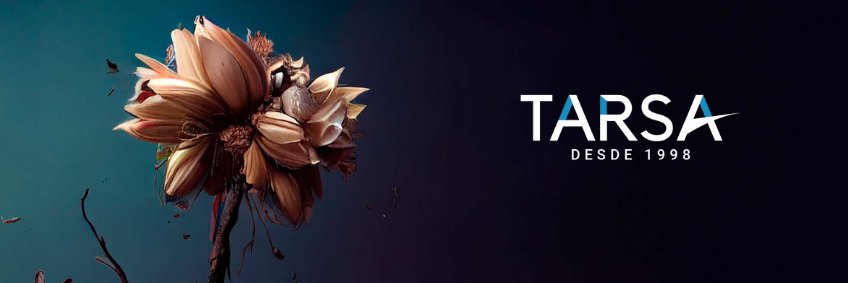 TARSA Relaciones Públicas banner