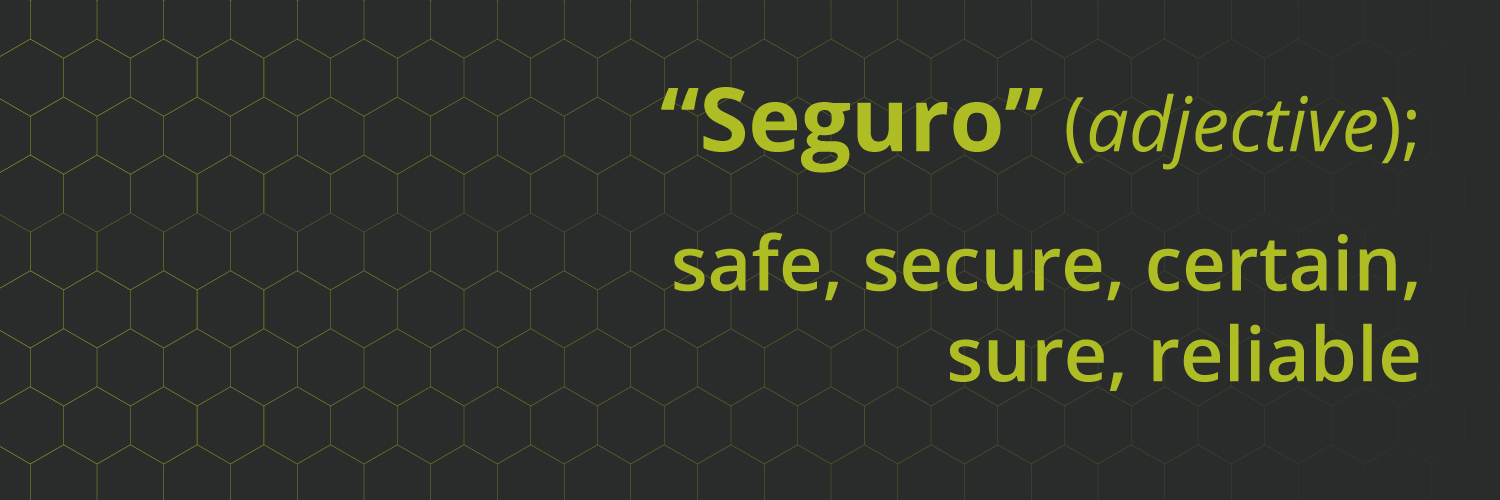 Seguro - North East Cyber Security Consulting banner
