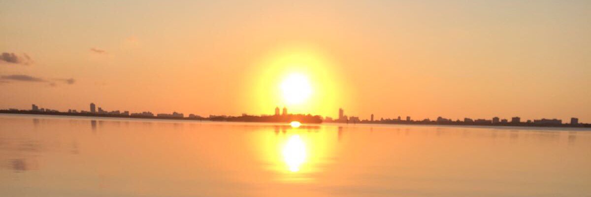 RELN81's profile banner image