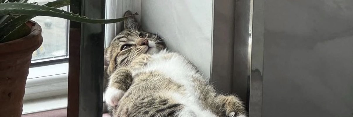 sekerprtk's profile banner image