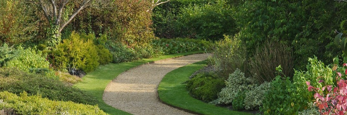 Dr. Lisa Matherson (she/her) banner