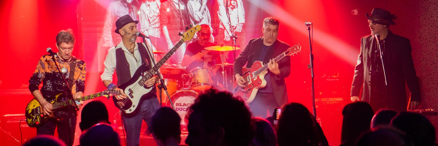 Black Ducados banner