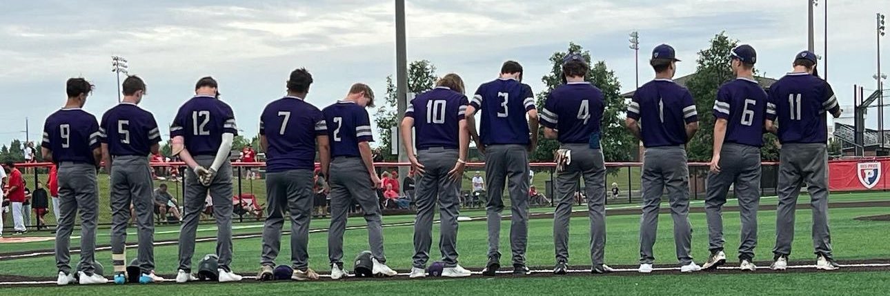 TigerCubsBaseball banner