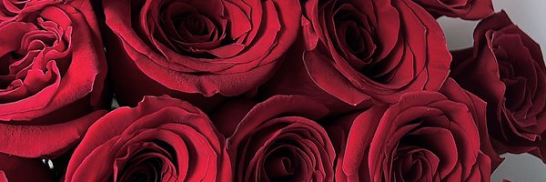 tytiamour Profile Banner