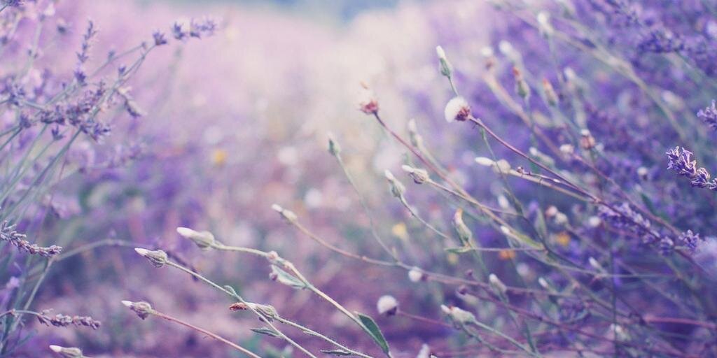 MargaretGray69's profile banner image
