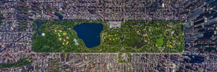 Ads Alchemist banner