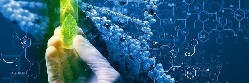 Jamie Quinton banner