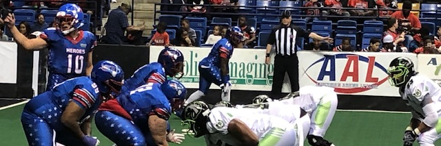 American Arena League banner