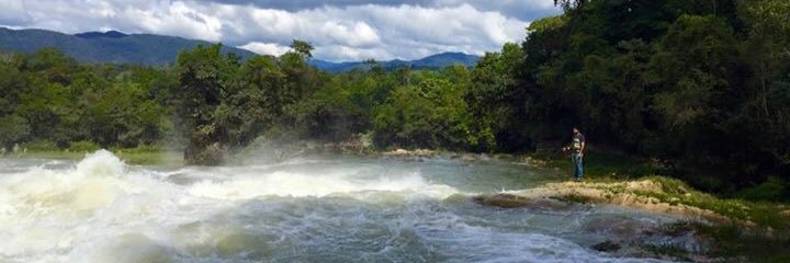 Migueortiz's profile banner image