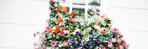 lifenavy's profile banner image