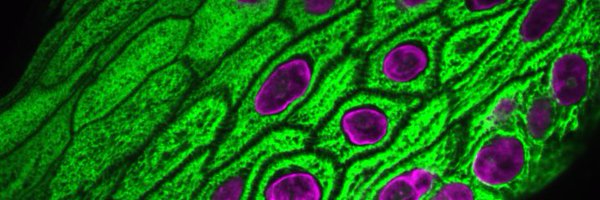 CorySimpsonMD Profile Banner