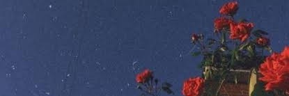 Is6od banner