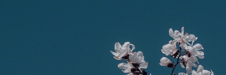 nwier____'s profile banner image