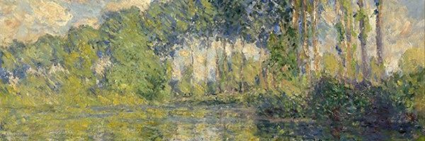 AAA国家一级保护废物 banner