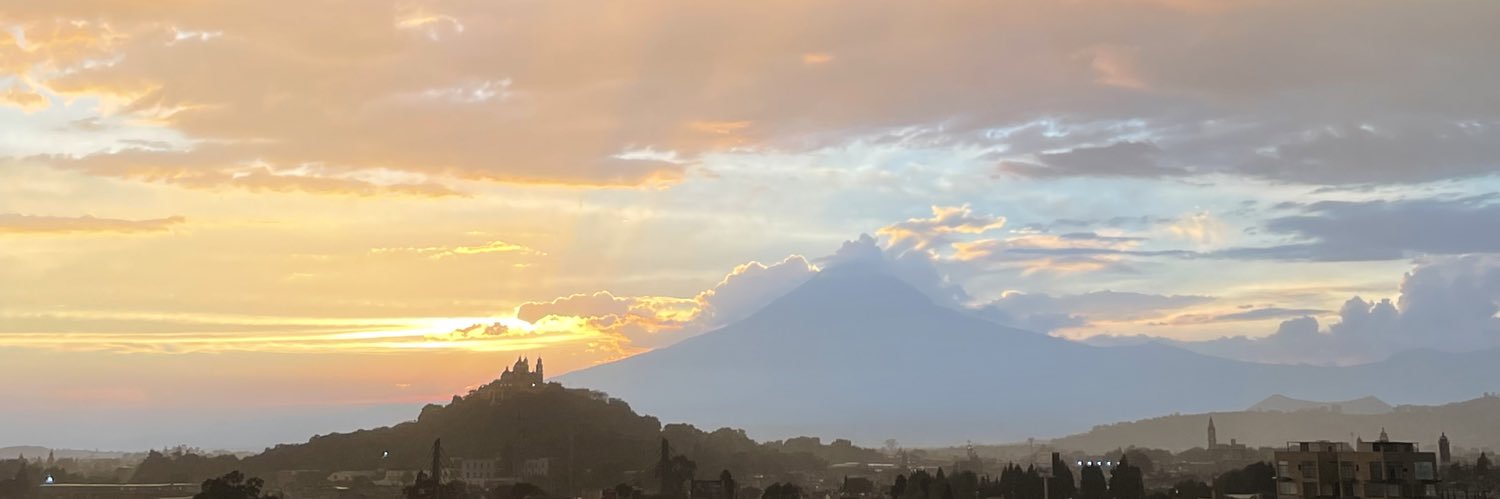 Salvador Navarro banner