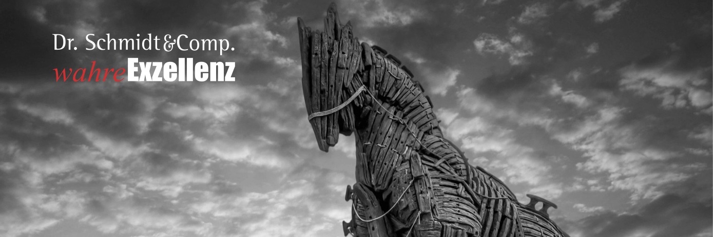 Guido Schmidt banner