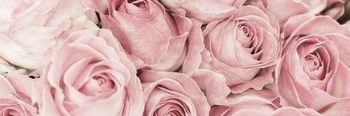 gentlyweeps_'s profile banner image