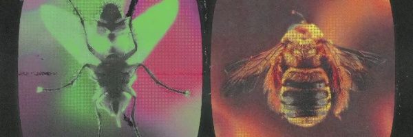 PouvoirdeVoir (she/her/elle) banner