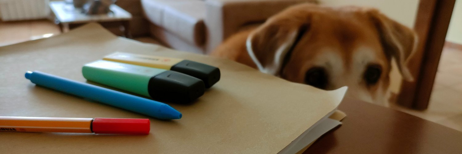 Rocío Martínez banner