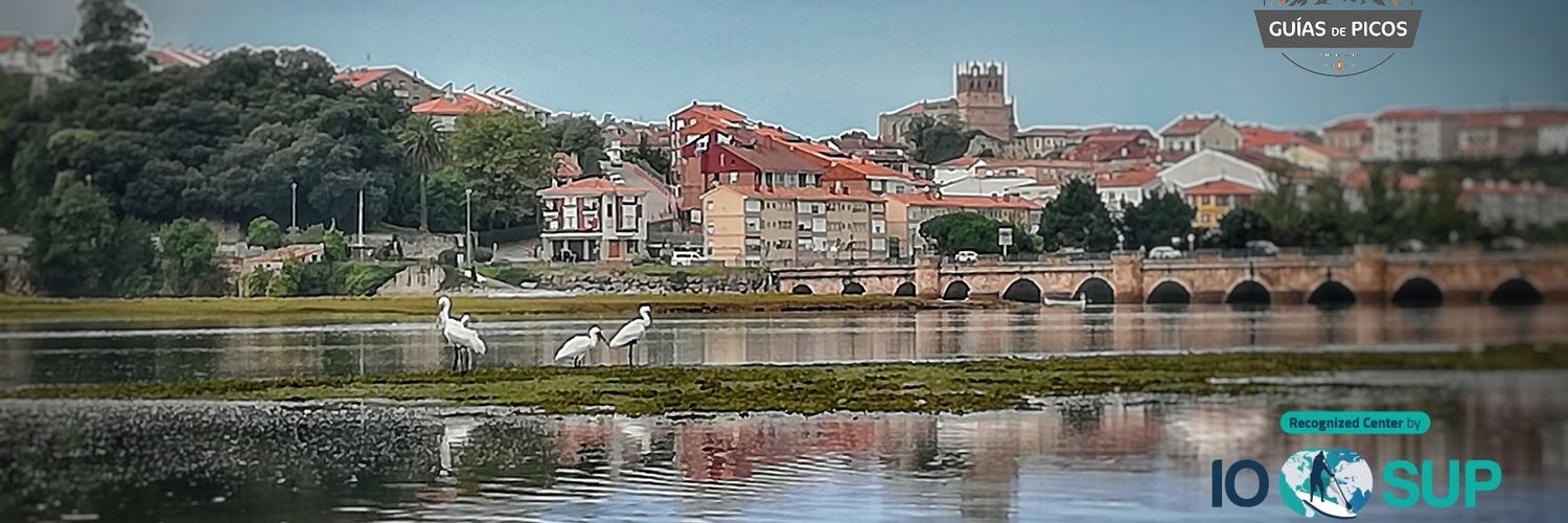 andres de la torre banner