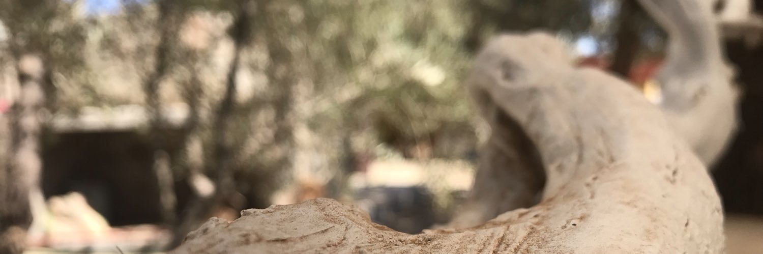 TellMeOz's profile banner image