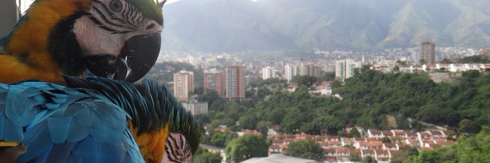 perla_8's profile banner image