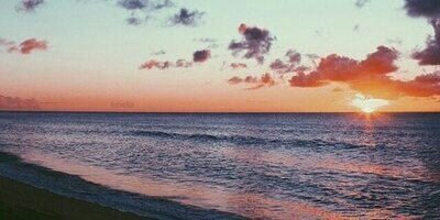 _carolinacosta's profile banner image