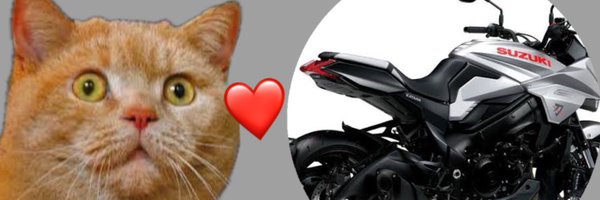Niru_Motorcycle Profile Banner