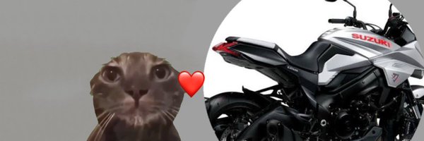 Niru_Motorcycle Profile Banner