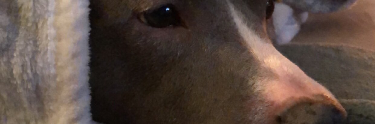 mbrooke919's profile banner image
