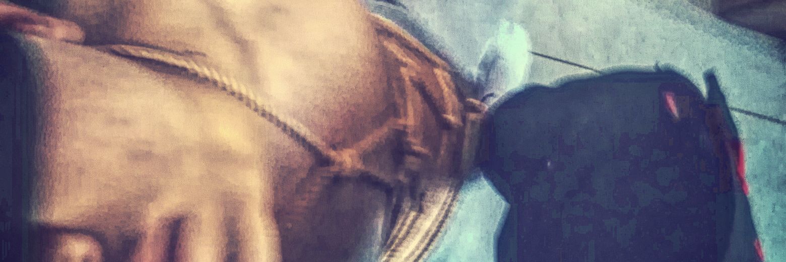 fekong2000's profile banner image