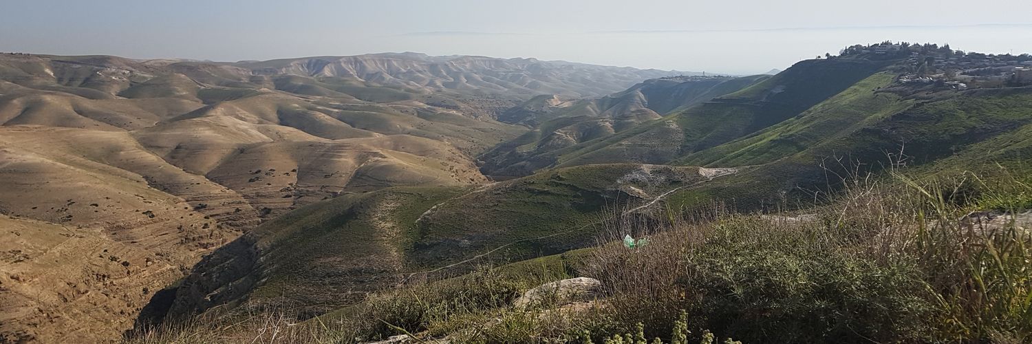 🎗#biodiversityloss#actnow🎗 banner