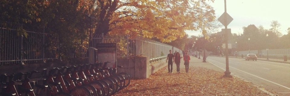 buchanan_carly's profile banner image