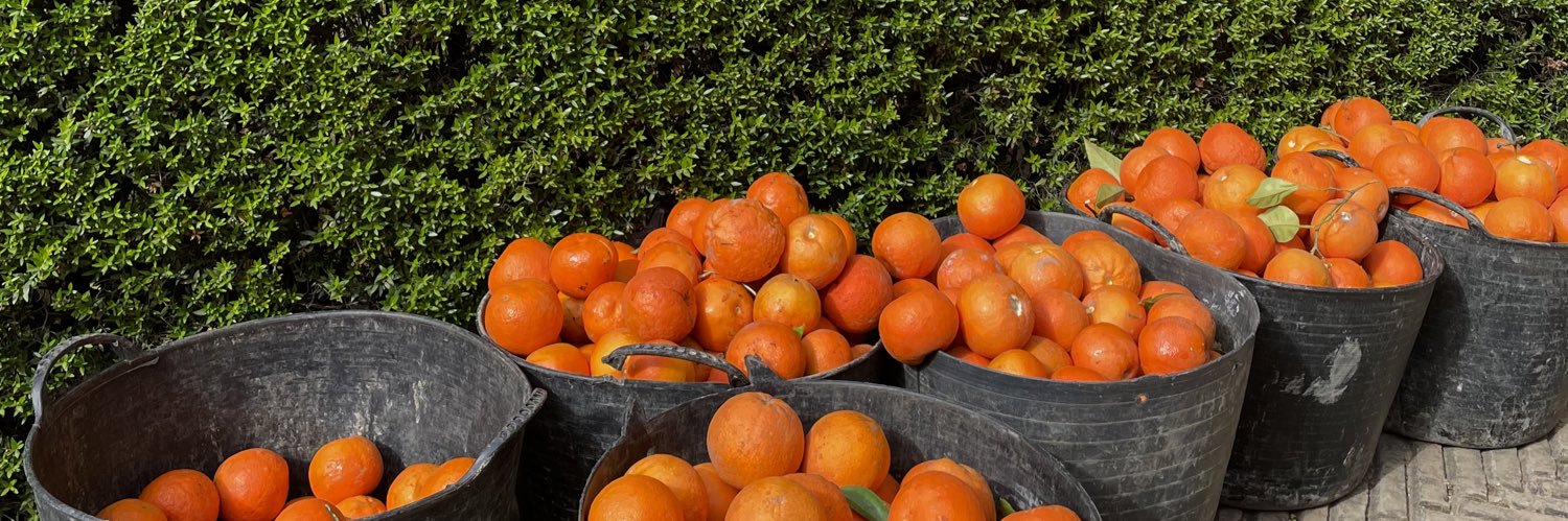 𝒞𝒽𝒶𝓇𝓁𝑜𝓉𝓉𝑒 banner