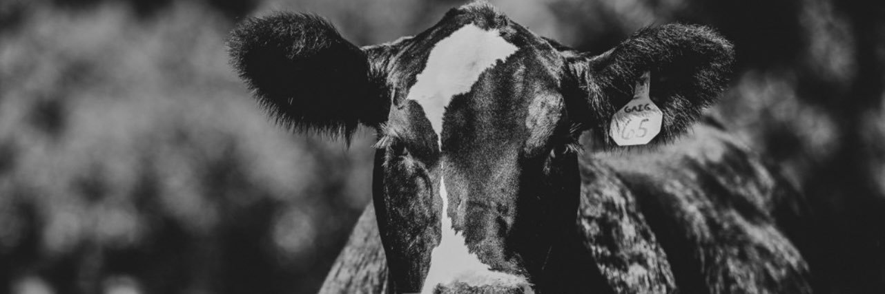 Corey__Andrews's profile banner image