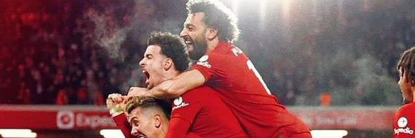 TheWolfTips Profile Banner