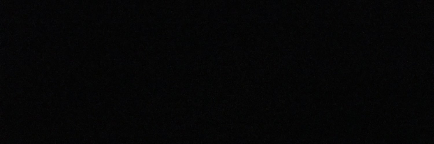 ornitrinky's profile banner image