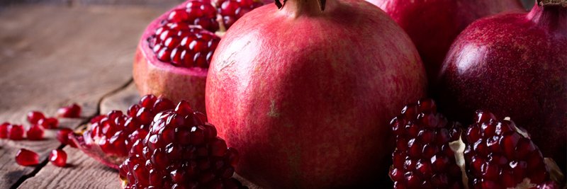 Future Perfect 🐞 banner