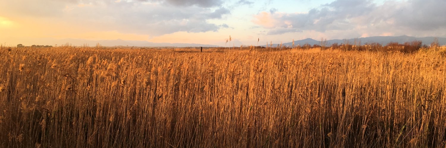 Roger Esteban Fabró banner