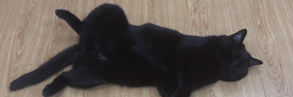1yuan Profile Banner