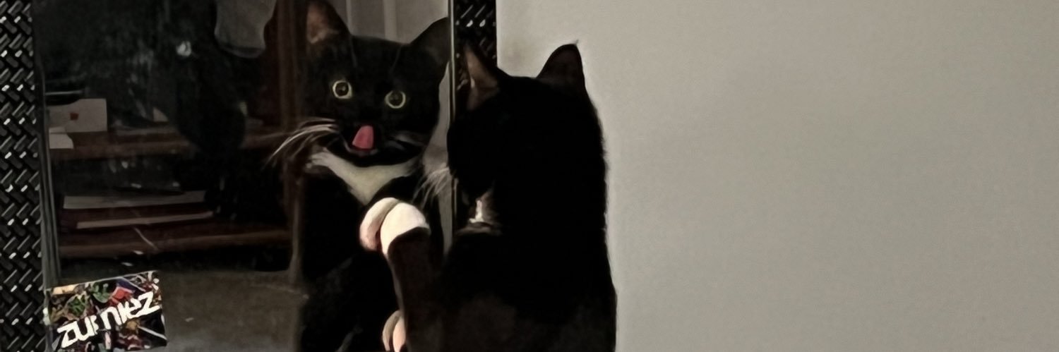 michaelnovay_'s profile banner image