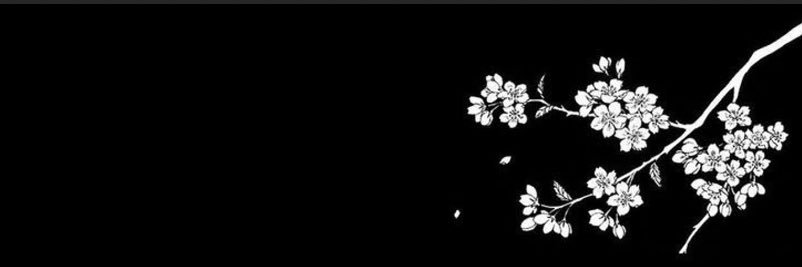 R1☄️ banner