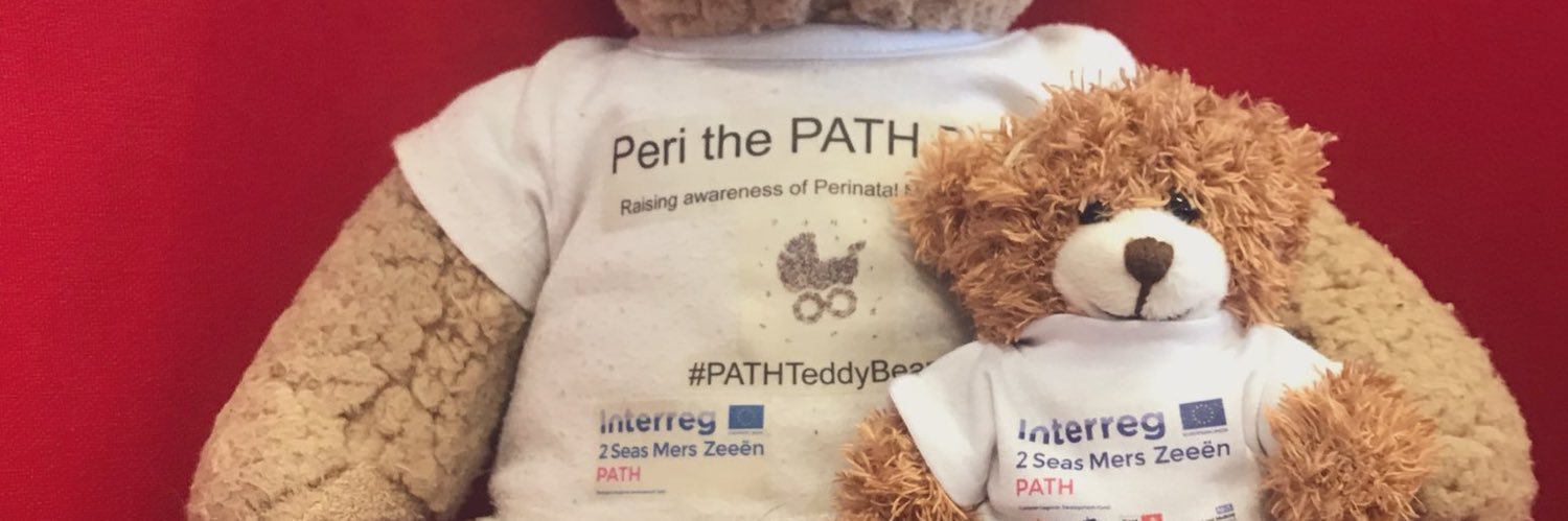 PATH Perinatal Mental Health banner