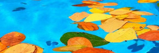 Grasia Peñalba banner