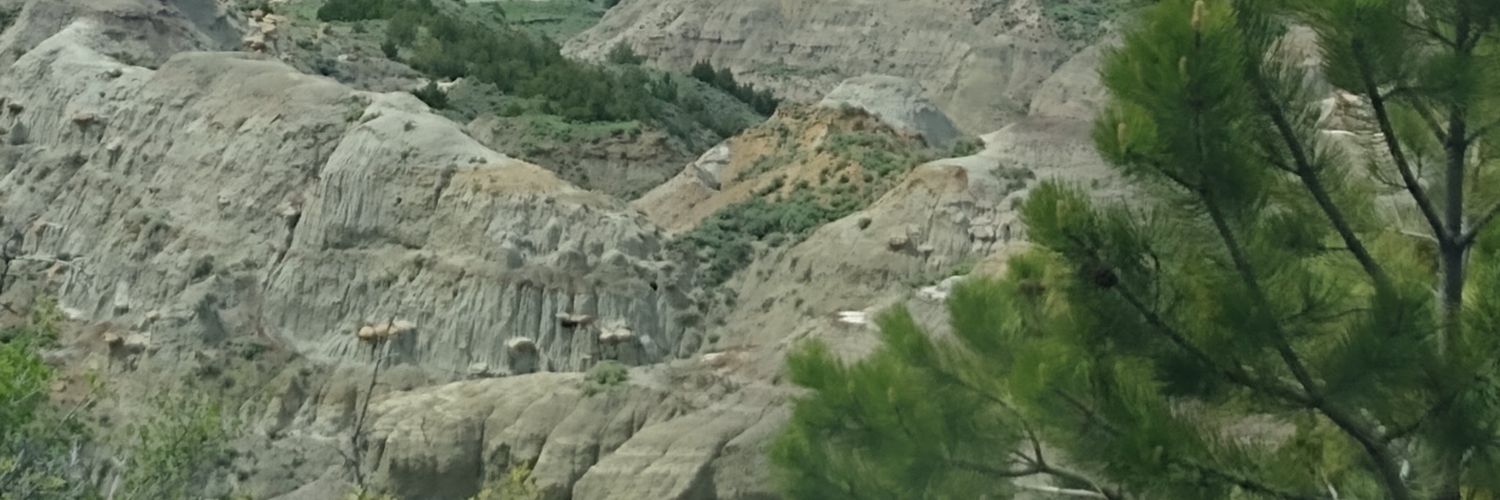 Àndy Dinardi banner