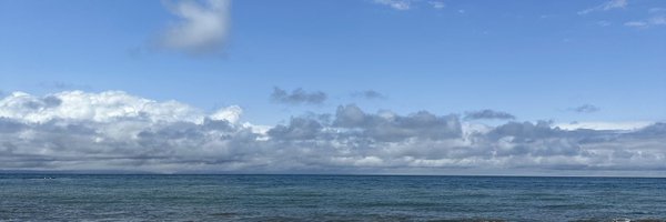 siyan_zhao Profile Banner